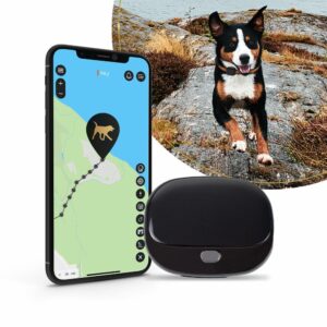 GPS ogrlica za pse