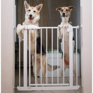 Pregrada za pse, ograda za pse u stanu
